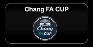 chan fa cup